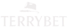 TerryBet Casino